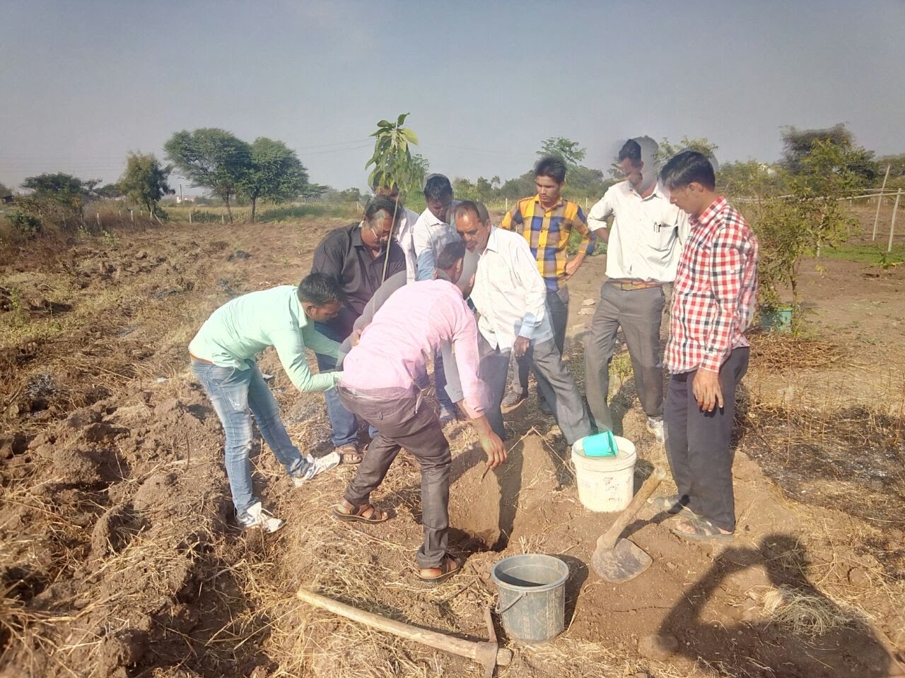 Green Future Plantation