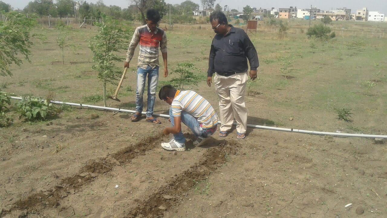 Sustainable Environment Drive