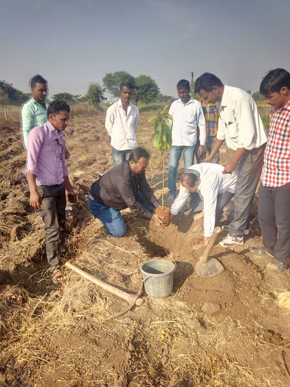 Voluntary Blood Donation